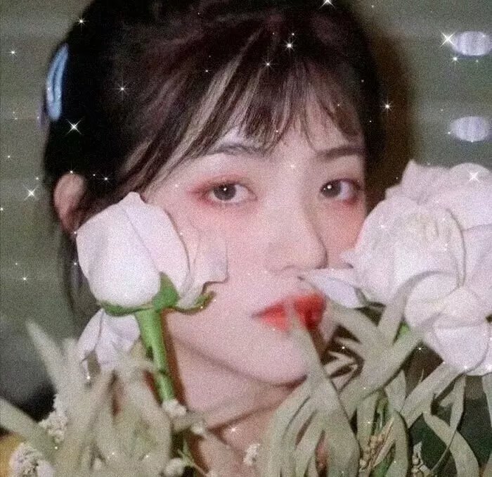 诺玛蕊
