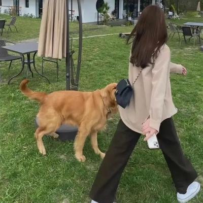 窒风之中第二季